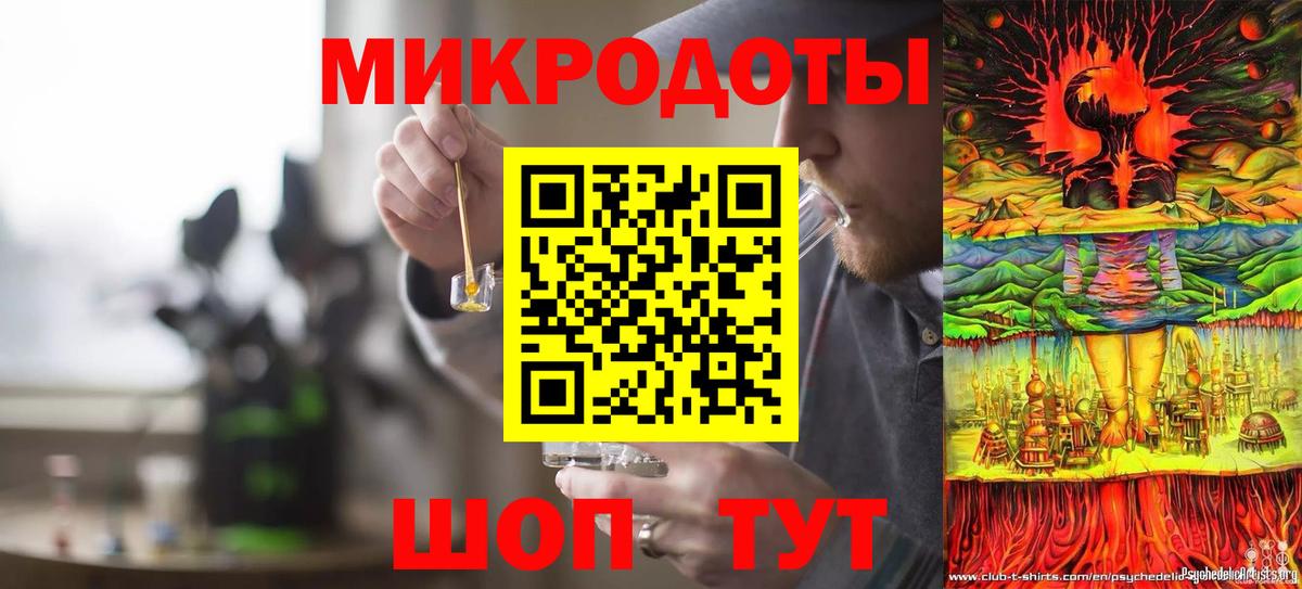 Галлюциногенные грибы Psilocybine cubensis  Ачхой-Мартан 