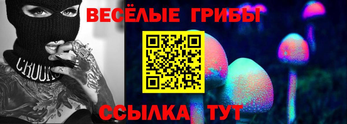 Псилоцибиновые грибы мицелий  Вход с VPN  Галлюциногенные грибы GOLDEN TEACHER  Ачхой-Мартан 